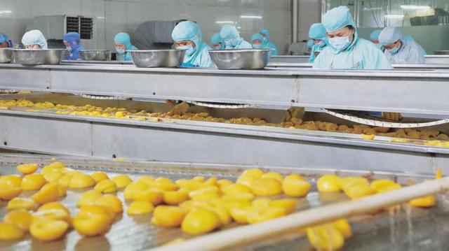 电商“突围”，让杨凌远高食品“飞”得又远又高 | 进企业看发展
