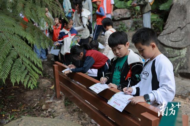 广东蕉岭长潭省级自然保护区成功举办“丛林奇遇记”