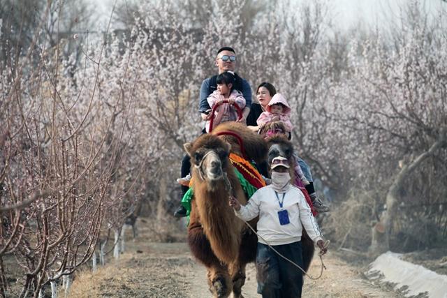 去新疆旅游，几月份最适合呢？