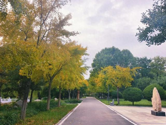 秋韵满园！石家庄市植物园赏秋攻略，请查收→