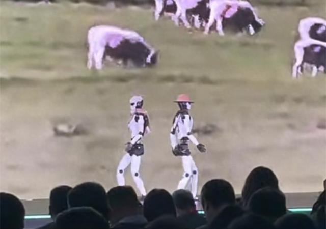 起猛了，看到机器人走秀，你给这猫步打几分？