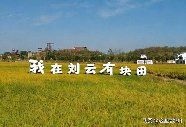 上新！鄂州新增一座“农场乐园”