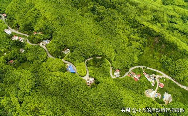 推荐5个夏天避暑圣地，哪个是你心目中的TOP1