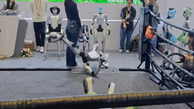 高能低智？机器人“失误”背后，是中国科技的进阶之路