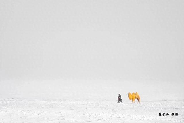 冬季呼伦贝尔海拉尔、阿尔山、满洲里、根河不冻河、漠河、北极村