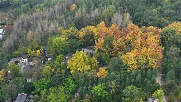 汉阴龙岗公园：初冬斑斓景 如画醉游人