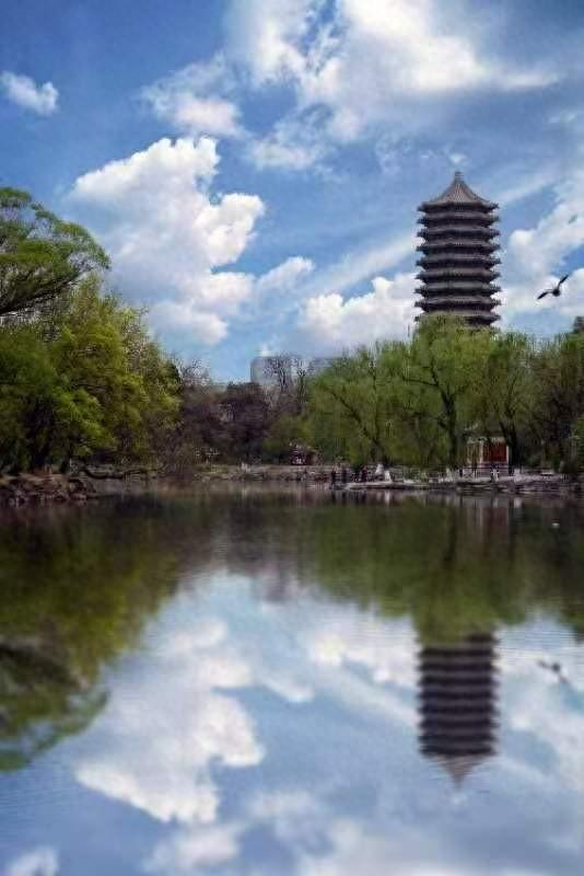 北大学子镜头中的燕园美景