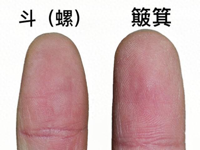 老人说你的食指有几个簸箕，几个斗，决定你的前程，你信不信？