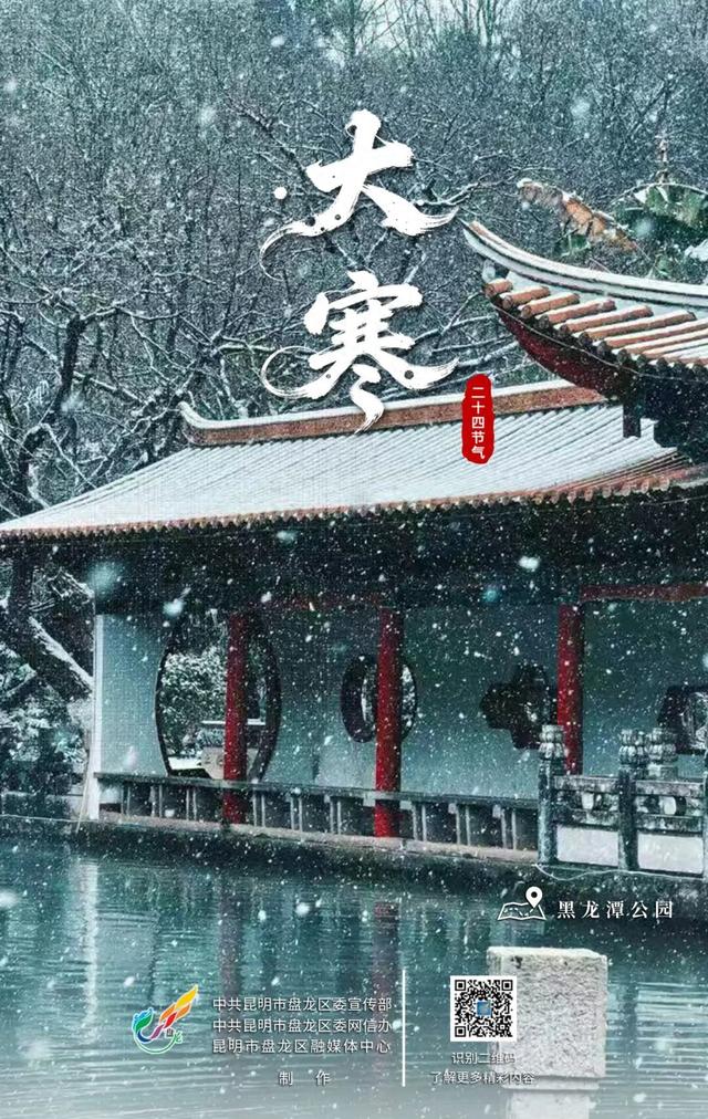 大寒至，春可期，昆明这些地方繁花似锦！