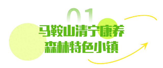 藏在济南的这些打卡地 ，圈粉无数！
