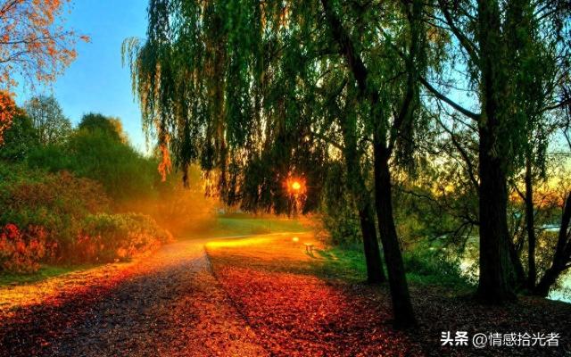 梦到新鞋子是什么征兆梦到新鞋子（预示发财的十大梦境）