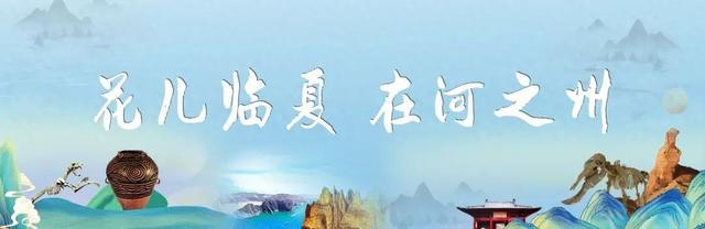 黄河臂弯里的诗意栖居