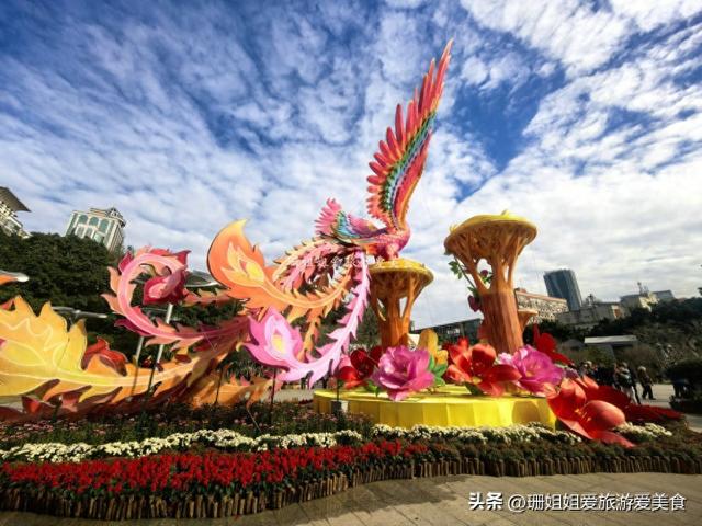 广州文化公园66届菊展，藏秋冬浪漫气息，延续全运会风情，免费