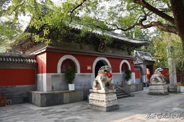 戴维对第一次对中国蒙古地区的考察进行总结，计划第二次考察