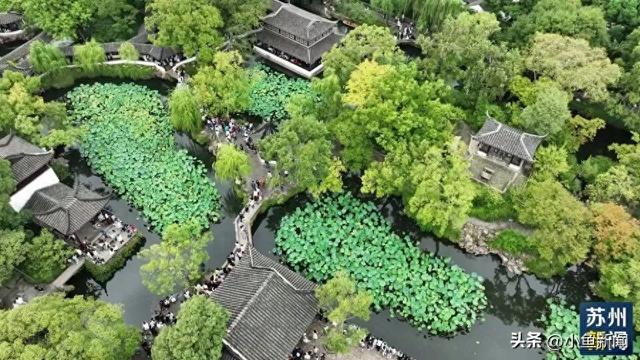 这个假期，苏州也太热闹了吧！