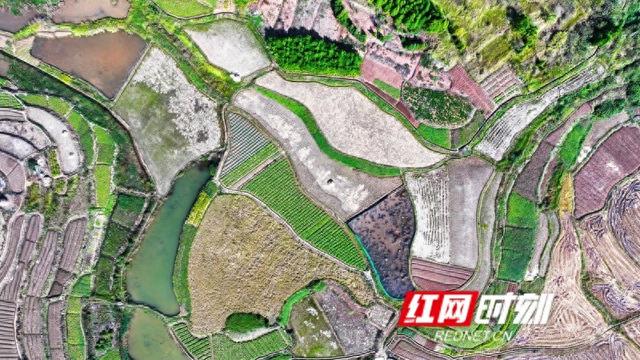 湖南新田：大地“指纹”美如画