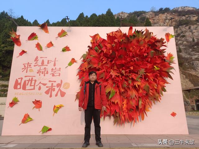 无为在歧路，柿岩之红叶