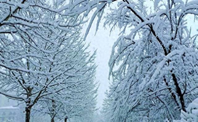 这不是迷信！“最怕立冬是雨天”，今日立冬，下雨啥预兆？
