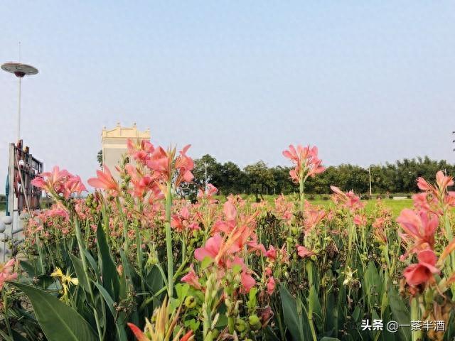 免费营地：广东江门市自驾车免费露营地，附热门景点及特色美食