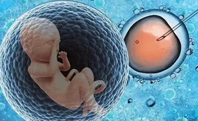 著名专家预言：试管婴儿寿命仅40年，那首例试管婴儿如今怎样了？