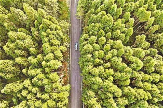 升级一条乡村公路 畅通三大避暑景区