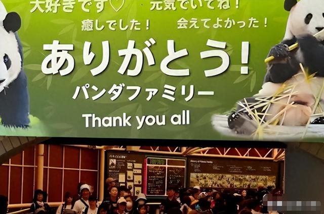 没有回旋余地，中国下令直接收回	，17万日本人泪奔，高市闯祸了！