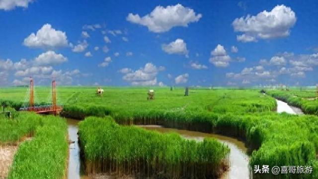 盘锦鼎翔：在苇海的呼吸间，寻一场北国的水乡旧梦