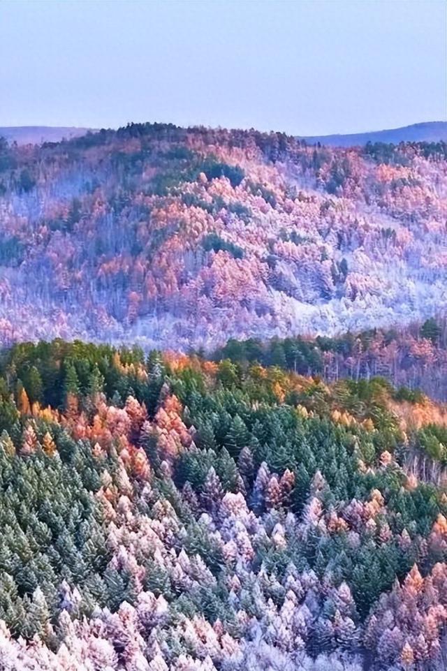 救命！呼伦贝尔的初冬怎么能这么让人沦陷