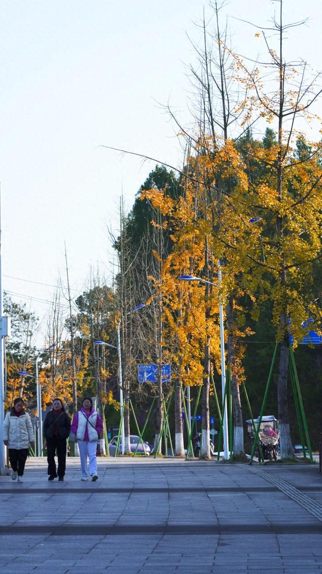 来达州宣汉，赴一场“黄金”盛宴