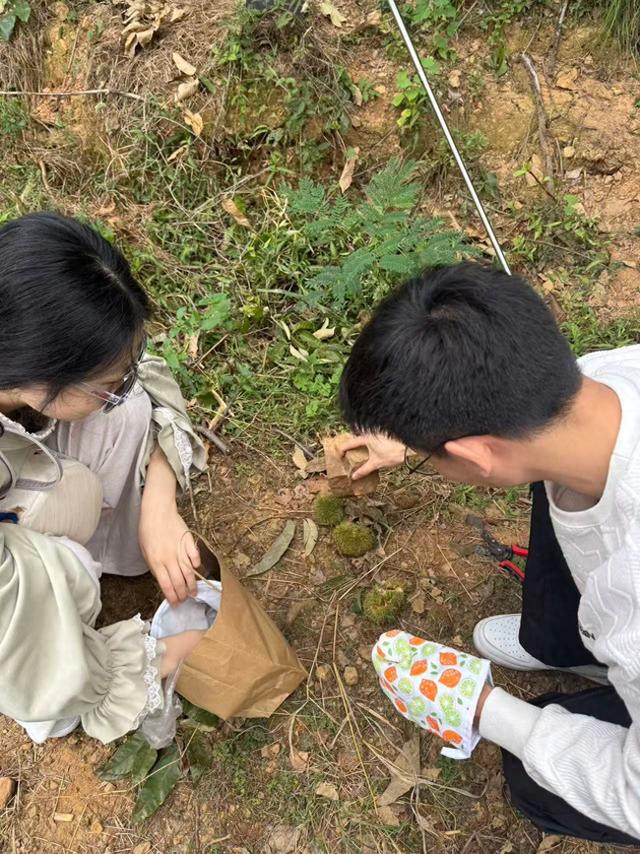 武汉这些地方最近有点火：父母带娃到处捡