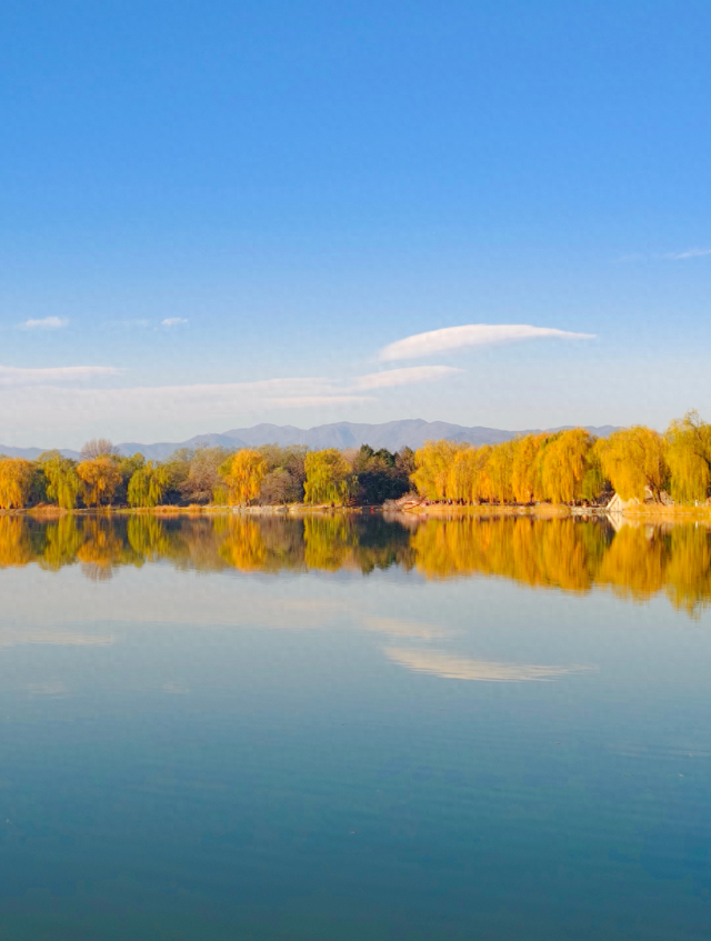 动静皆是景！踏进圆明园的冬日画卷