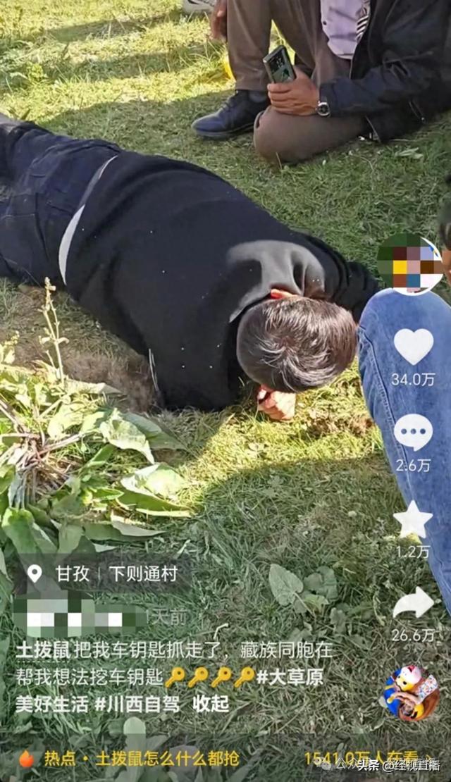 男子自驾川西，车钥匙被土拨鼠叼进洞！最终用强力磁铁吸出车钥匙