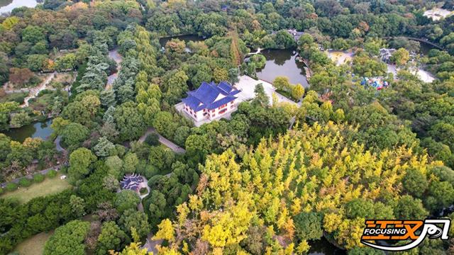 共赴一场荆秋之约