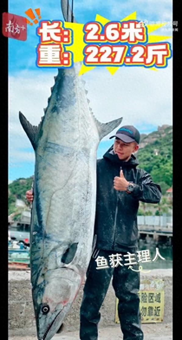 男子钓出227.2斤鱼王引围观，需要5名成年男子才能抬动