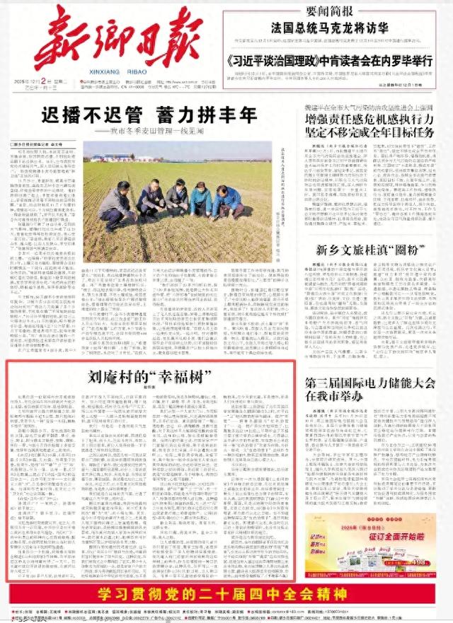 段怀清:刘庵村的“幸福树”