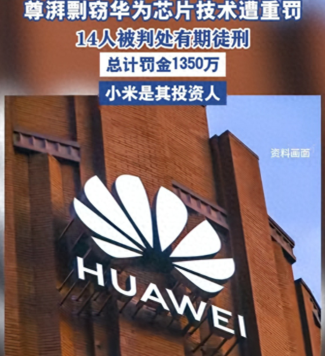 国产芯被窃取！内鬼海归身份曝光，董明珠说的话，终于有人信了