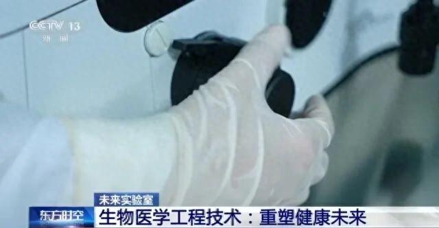 2021迷你世界辅助（耳朵骨骼心脏喉管这些类器官能3D打印了）