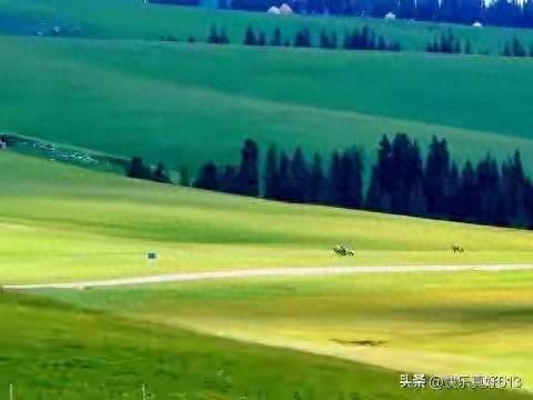 退休旅居，一年玩遍大半个中国。