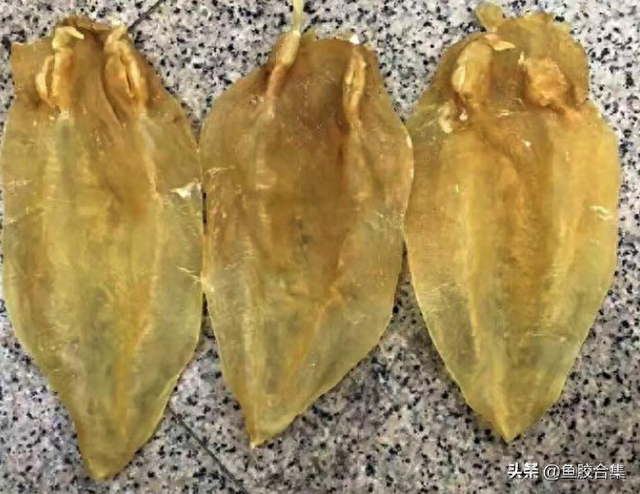 北海鱼胶图片大全大图 2025年北海鱼胶的功效及吃法