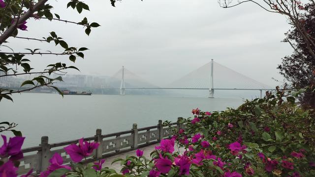 d17：从涪陵来到了丰都