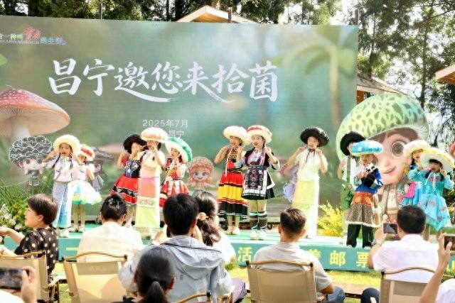 昌宁邀你来拾菌！保山举办“跟着邮票游云南”分会场主题推广活动