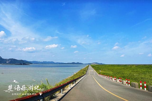 宁波居然有小伊犁？原来是海边的网红露营地，不过评价呈两极化