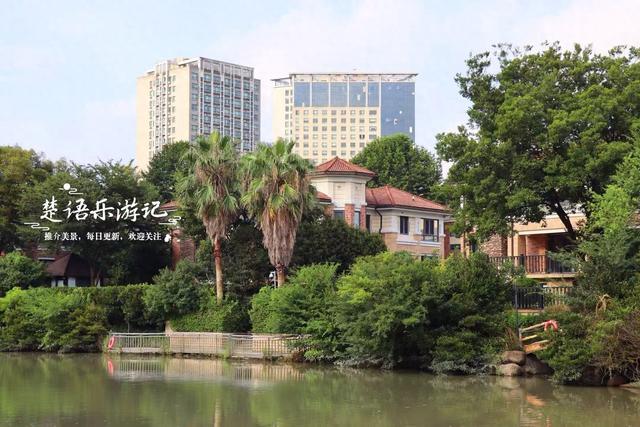 浙江宁波城区发现一处风景，小巧清幽但满池荷花，好有诗情画意