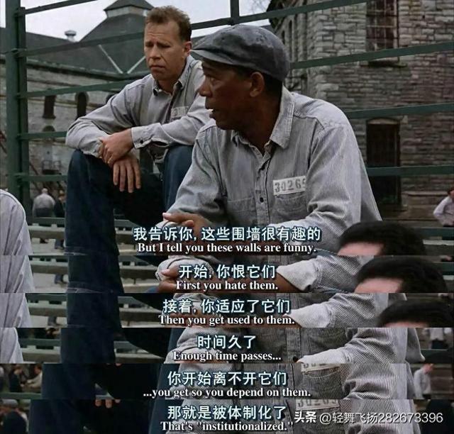 2025年11月8日 第41页