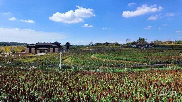 消费新观察｜田园风“混搭”文化风 “花式”解锁乡村周边游