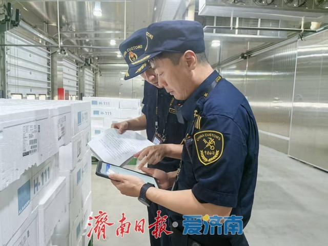 22吨挪威冰鲜三文鱼空运济南，从抵达到通关交付不到2小时