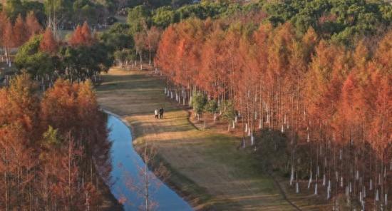 乡村美景入画来