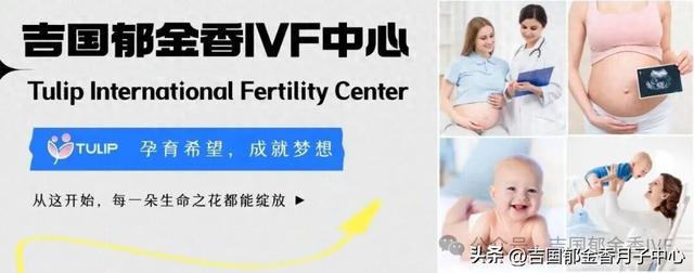 吉尔吉斯斯坦郁金香出生的宝宝，乘机回国需要准备什么？