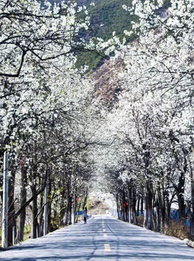 你的第一次旅行去了哪？这些地方藏着最暖的回忆