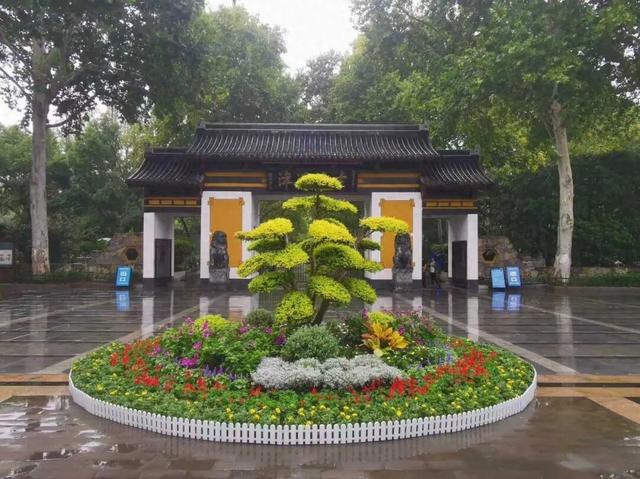 合肥街头，悄悄“变装”